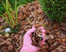 Image result for Mulch Price per Yard