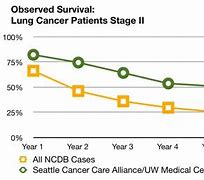 Image result for Stage 2 Lung Cancer Survival
