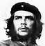 Image result for Che Guevara Disguise