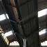 Image result for Lowe's Shop Ceiling Fan