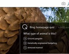 Image result for Bing Weekly Quiz Not Working