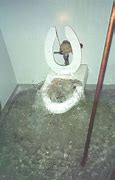 Image result for Toilet Backup