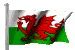 Image result for Plas Penmynydd Wales