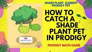 Image result for Are Different Types of Shade in Prodigy
