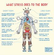 Image result for Stress Body Diagram