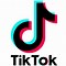 Image result for Tik Tok Logo Vertical