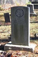 Image result for First World War Casualties