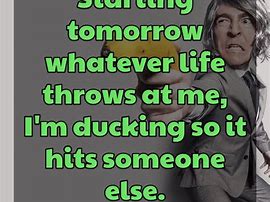 Image result for daily thought for the day humor