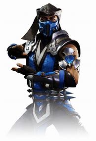 Image result for Sub-Zero Character