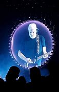 Image result for David Gilmour Animals