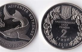 Image result for Ukraine Coins