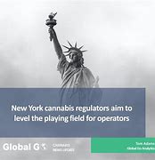 Image result for new york cannabis regulators