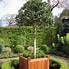 Image result for Wooden Planters Product