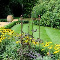 Image result for Circular Plant Supports