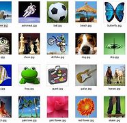 Image result for Windows XP User Accounts