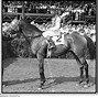 Image result for Seabiscuit Grave