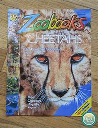 Image result for Zoobooks Magazine 1 Year Subscription (9 Issues)