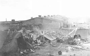 Image result for Liberating Bergen-Belsen