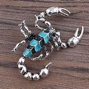 Image result for Scorpion Accessories