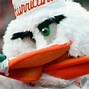 Image result for College Football Bagers