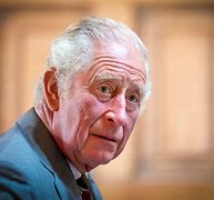 Image result for King Charles III Photos