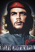 Image result for Che Guevara Bluzon