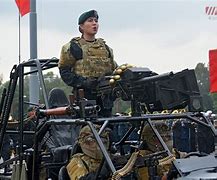 Image result for Mexican Armed Forces
