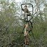 Image result for Timber Tripod Stand