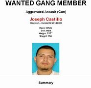 Image result for Australia's Most Wanted Gangster