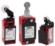Image result for Safety Limit Switch