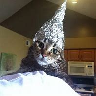 Image result for Tin Foil Hat On Cat Meme