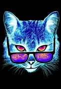 Image result for Cool Neon Cats