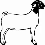 Image result for Domestic Animals Goat