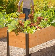 Image result for Large Outdoor Planter Box
