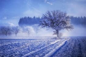 Image result for Winter Wallpaper HD