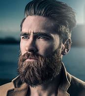 Image result for Beard Styles