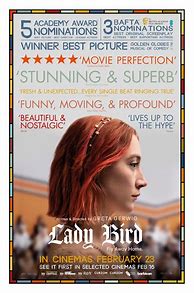 Image result for Lady Bird Poster