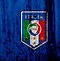 Image result for Italy Soccer