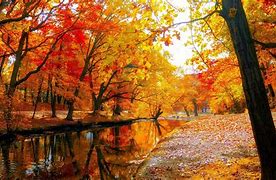 Image result for Most Beautiful Autumn Scenery