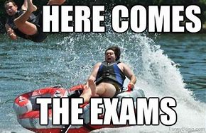 Image result for English Exam Memes