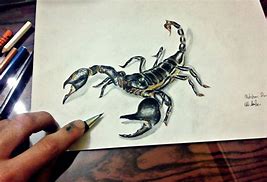Image result for Scormian Drawing