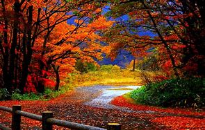 Image result for Autumn HD Wallpaper Widescreen