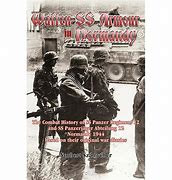 Image result for Waffen SS Normandy