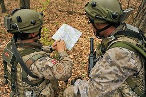 Image result for Latvian Army Officer
