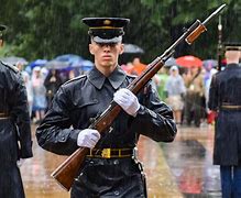 Image result for Unknown Soldier Guards