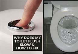 Image result for Toilet Flush Problems
