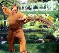 Image result for Beverly Hills Ninja One with the Universe