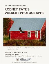 Image result for Tate and Rodney