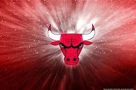 Image result for Chicago Bulls Logo Design