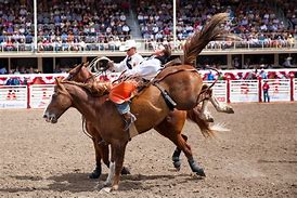 Image result for The Calgary Stampede